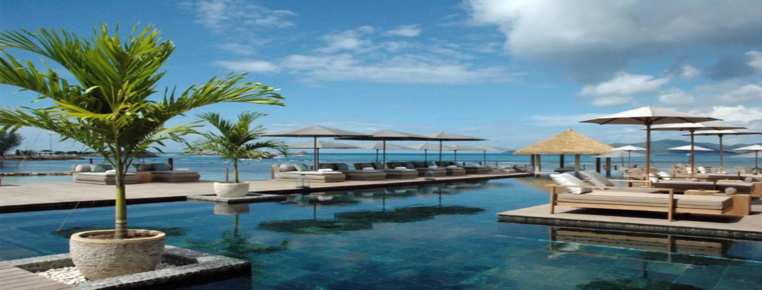 Image for Exotic Lifestyle